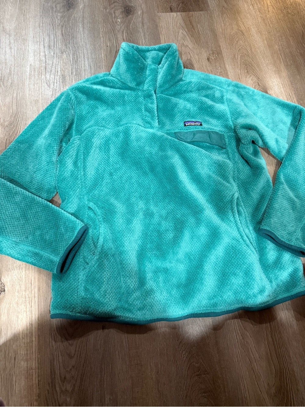 Patagonia Teal Fleece Pullover with Chest Logo